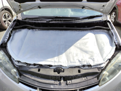 Автоодеяло модельное Toyota Wish II, (XE20), 2009-2017